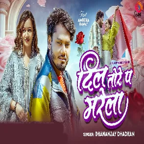 Dil Tore Pa Marela (Dhananjay Dhadkan)