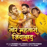 Ae Bhatijawa Re Tor Mahtari Jindabad