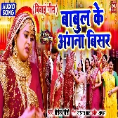 Babul Ke Angana Bisar.mp3