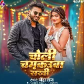 Choli Chamkauwa Sakhi