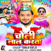 Devar Ujar Ujar Choli Hamar Laal Karata.mp3
