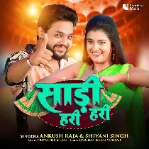 Dhani Ho Ladi Ka Saari Hari Hari