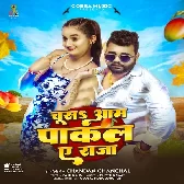 Chusa Aam Pakal Ae Raja (Chandan Chanchal)