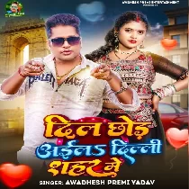 Dil Chhod Aila Delhi Sahar Me