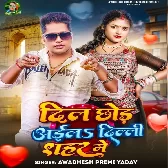 Dil Chhod Aila Delhi Sahar Me
