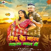 Gehu Ke Baal Raja Gadata Gaal Me