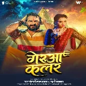 Gerua Colourwe Gaila Ho Bhul Bada Bakalol Ae Bamaua