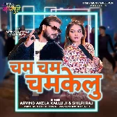 Gori Shisha Lekha Cham Cham Chamkelu.mp3