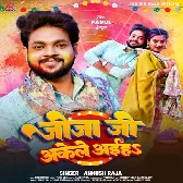 Jija Ji Akele Aiha.mp3