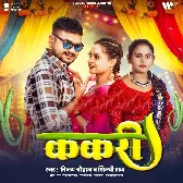 Kakari Ho Gailu Ae Rani Kehu Paai Ta Khaibe Kari