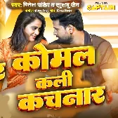 Purvanchal (Ritesh Pandey)