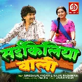 Man Badle Lagal Pala Re.mp3