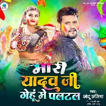 Mari Yadav Ji Gehu Me Paltal