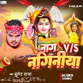 Nag VS Naginiya
