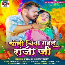 Puaa Samajh Ke Choli Chaba Gaile Raja Ji