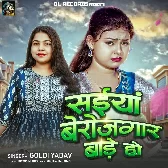 Saiyan Berojgar Bade Ho