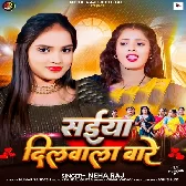 Saiyan Hamar Dilwala Bade