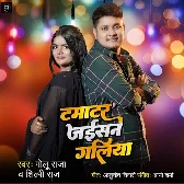 Tamatar Jaisan Galiya