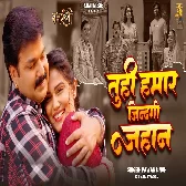 Tuhi Hamar Jindagi Jahan Ae Bhaiya.mp3