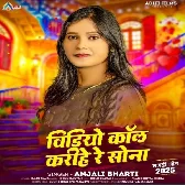 Video Call Karihe Re Sona