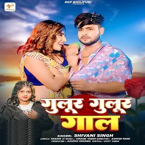 Gulur Gulur Gaal (Shivani Singh)