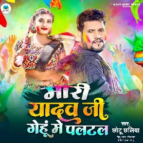 Mari Yadav Ji Gehu Me Paltal (Chhotu Chhaliya)