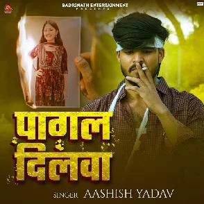 Pagal Dilwa (Aashish Yadav)