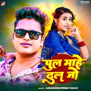 Pul Mahe Dhul Jo (Awadhesh Premi Yadav)