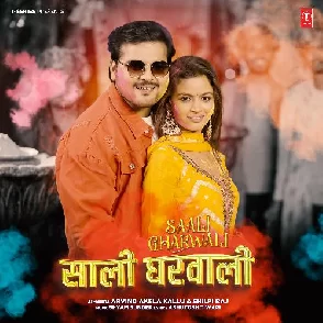 Saali Gharwali 2 (Arvind Akela Kallu, Shilpi Raj)