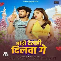 Todi Delhi Dilwa Ge (Aashish Yadav)